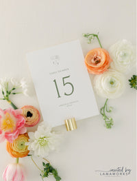 Theresa | Save the Date