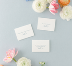 Dusty Blue Calligraphy Escort Cards | Ashley