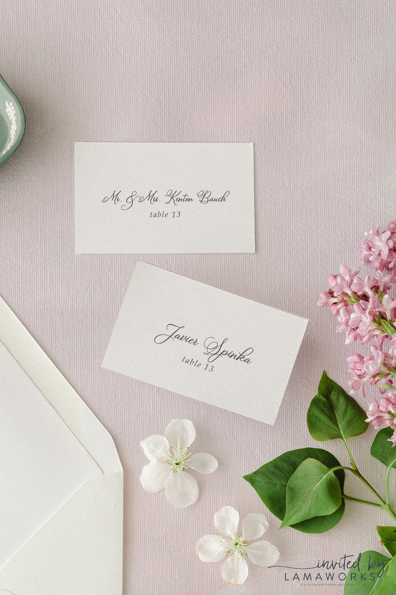 elegant calligraphy place cards or escort cards